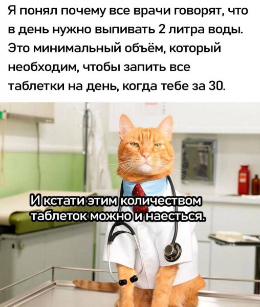 https://i.ibb.co/Mx2mbGS2/2.jpg