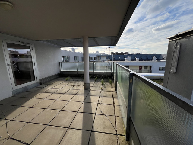 IMG-2658.jpg