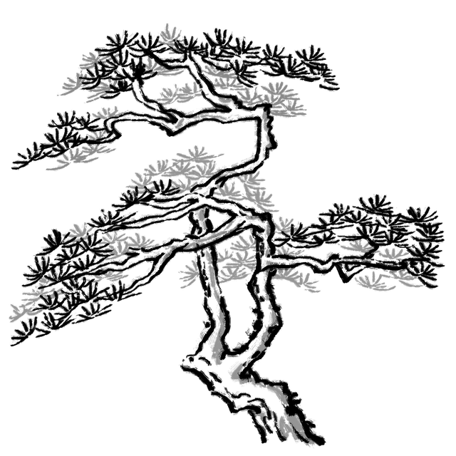 Pngtree pine 5636467