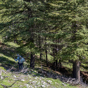 IMG 0865 (2)