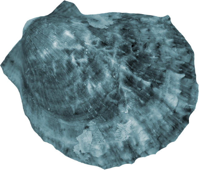 Element3.png