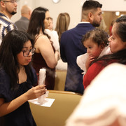IMG 7049