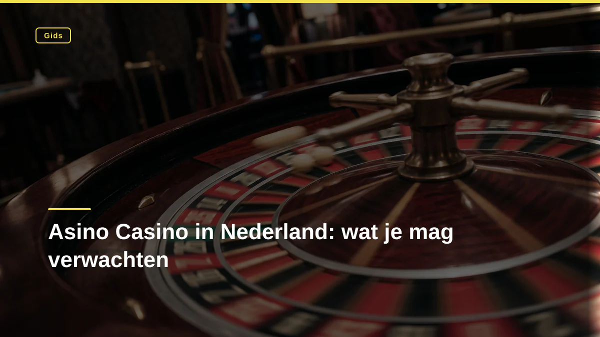 Asino Casino in Nederland: wat je mag verwachten