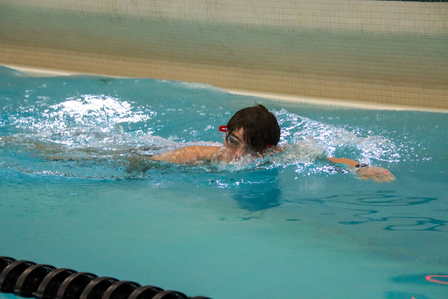 IMG-0764.jpg