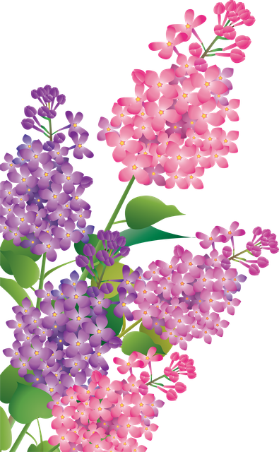 a6dc88c5 2fb3 4e1d ad7a 28dada2a69ad.png