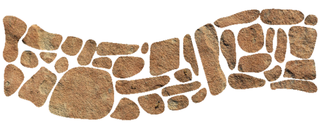 transparent.png
