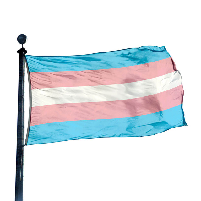 dflag35tran l