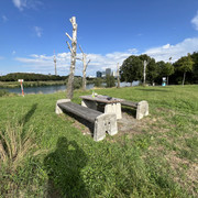 IMG-8703