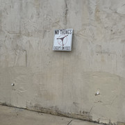 IMG 7654