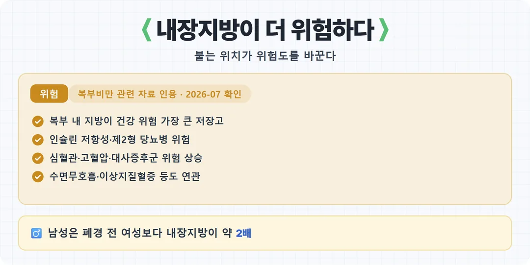내장지방 위험 카드 — 인슐린저항성 당뇨 심혈관
