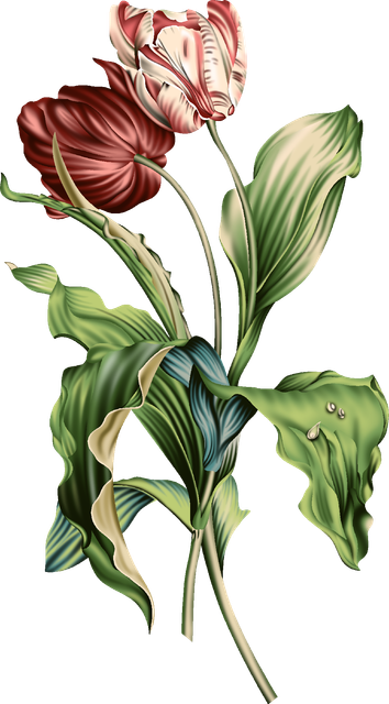 0fe5b7da65ede89a9418bcd7e0fc4a8b.png