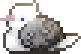 pigeon frilled 150.gif