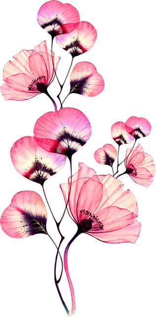 5583fdf98a67581c5b3cdd8b00d4d793.png