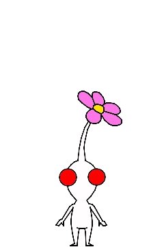 whiteflower.png