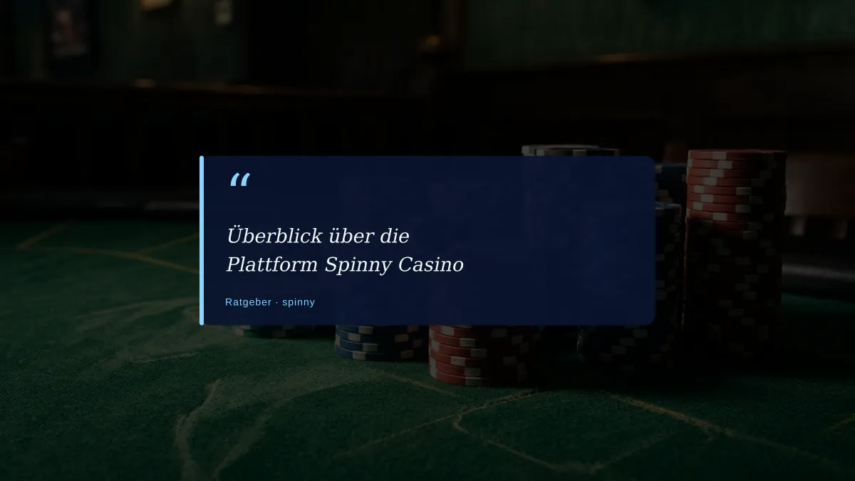 Überblick über die Plattform Spinny Casino