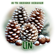 xcd-tw-tk1-avi-Lin-christy