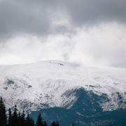 IPB Image