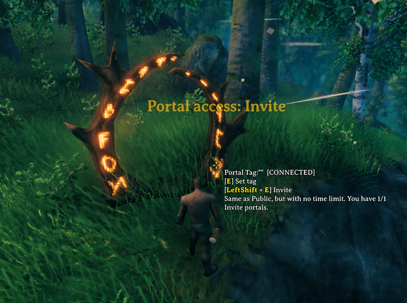 Invite portal hover details