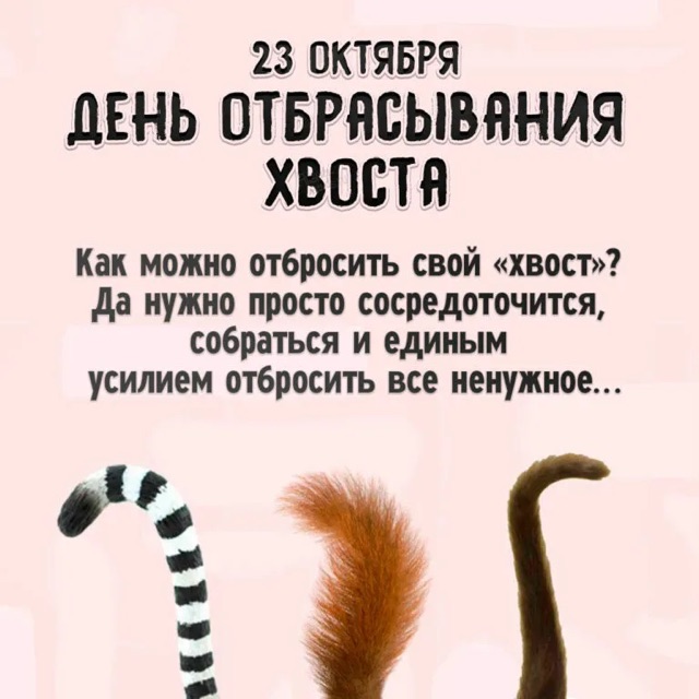 https://i.ibb.co/MxbRF4Z1/IMG-2285.jpg