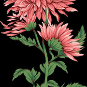 b1e25bc357c322f0fb7bb937415ed99d