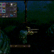 21.gif
