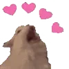  hvps