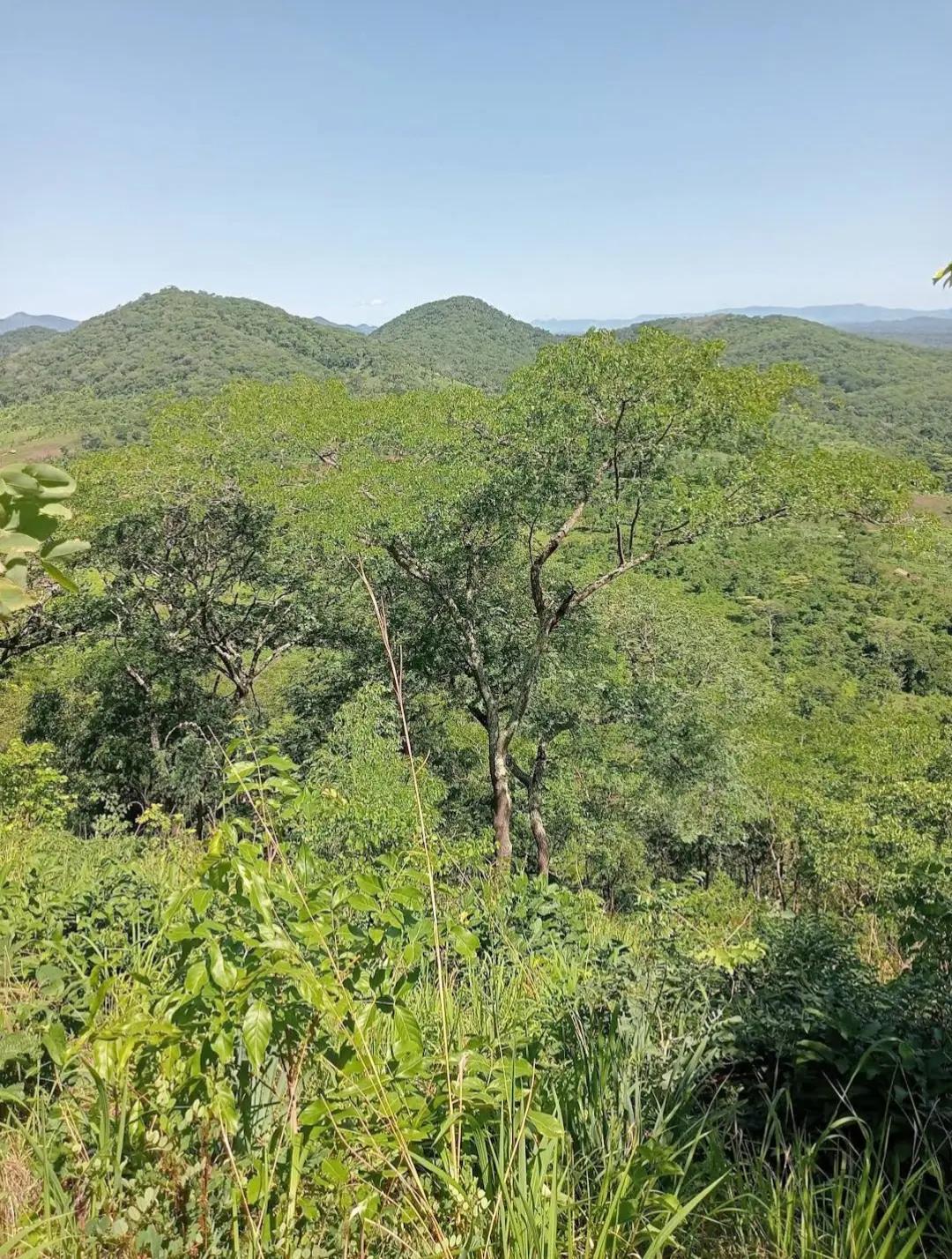 Mahale Mountains National Park