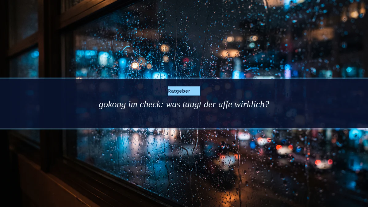 gokong im check: was taugt der affe wirklich?