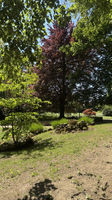 IMG-9716
