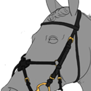 suitset8 4 1