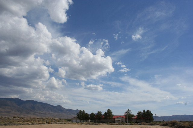 IMG 7955.jpg