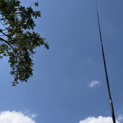 IMG 8193