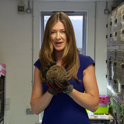 IMG 5986