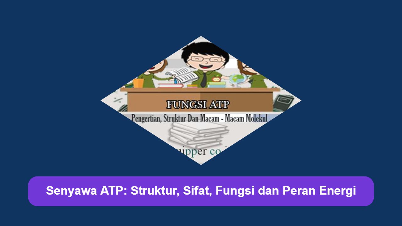 Senyawa ATP: Struktur, Sifat, Fungsi dan Peran Energi