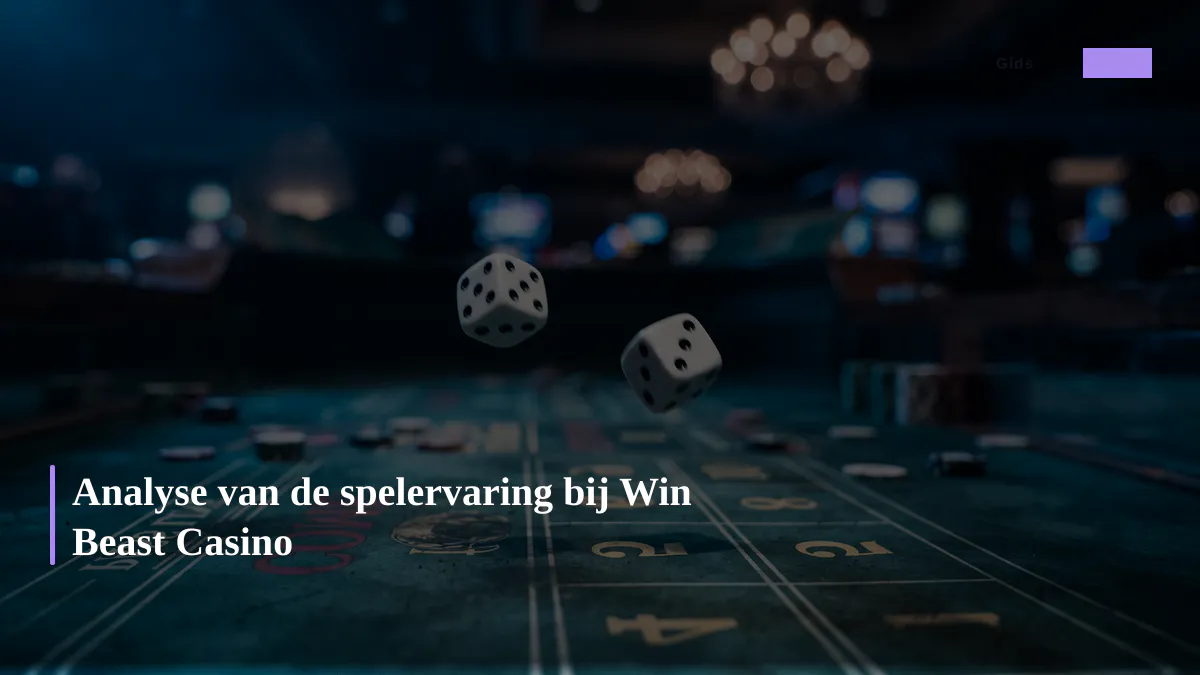 Analyse van de spelervaring bij Win Beast Casino