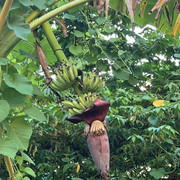 IMG 4736