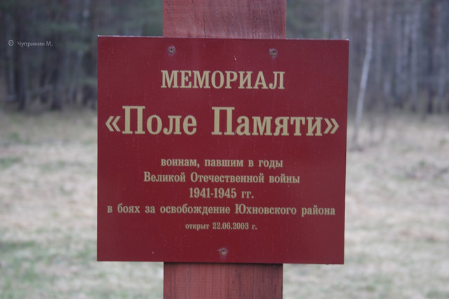https://i.ibb.co/MxvPhXG1/20007.jpg