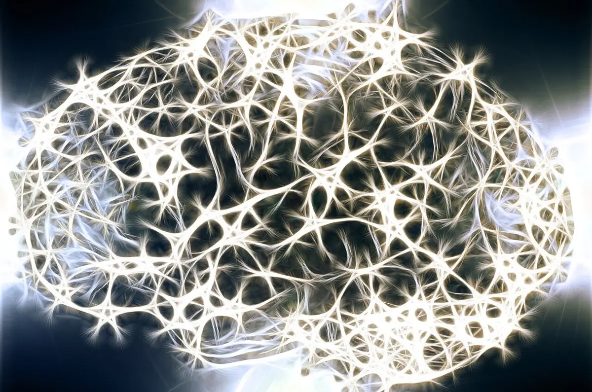 Brain Silence May Signal Imminent Seizures