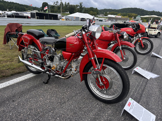 IMG 7079