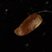 DSC01647