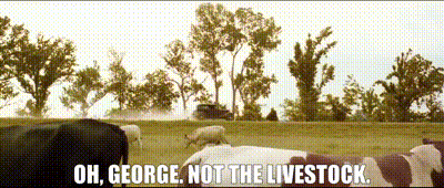 f556cea1-08dc-4d63-a4e5-549f4610ebba-text