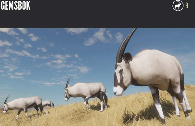 ANIMAL CLASSES