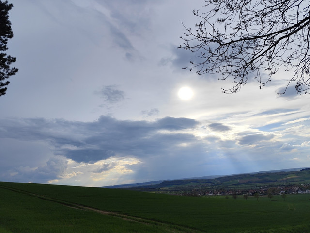 IMG-3313