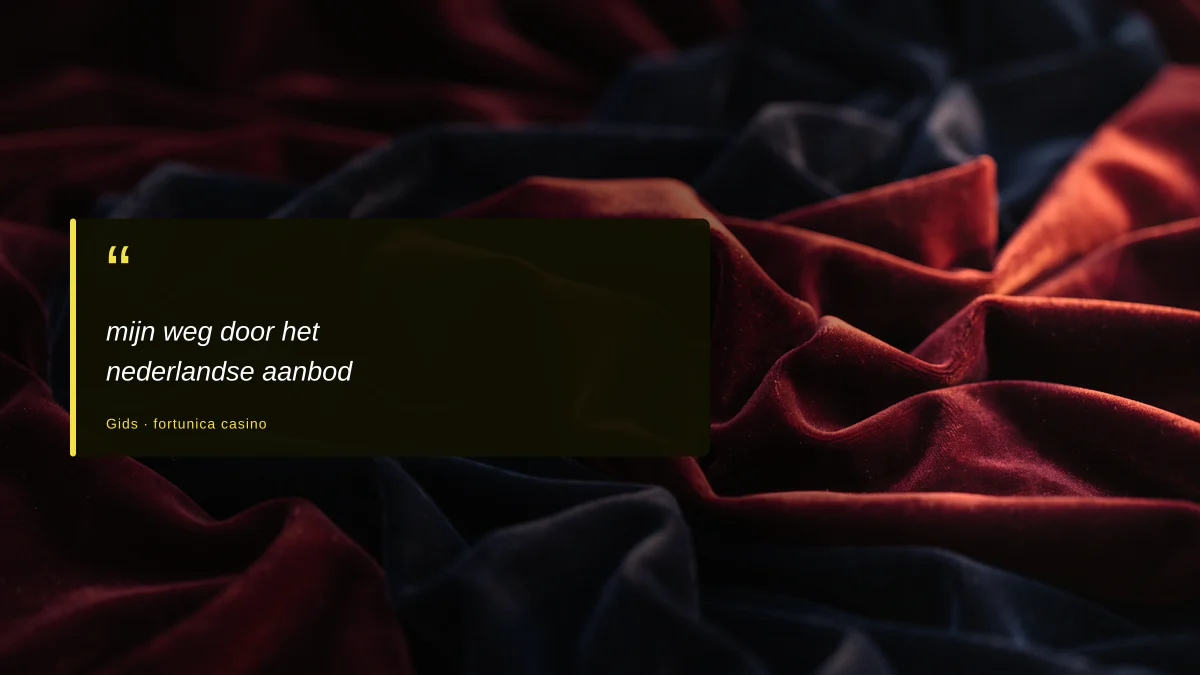 mijn weg door het nederlandse aanbod
