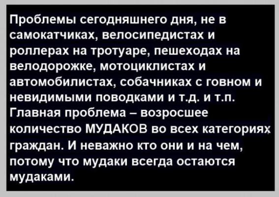 https://i.ibb.co/My9P4Zcz/image.jpg