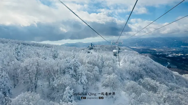 藏王树冰3.webp
