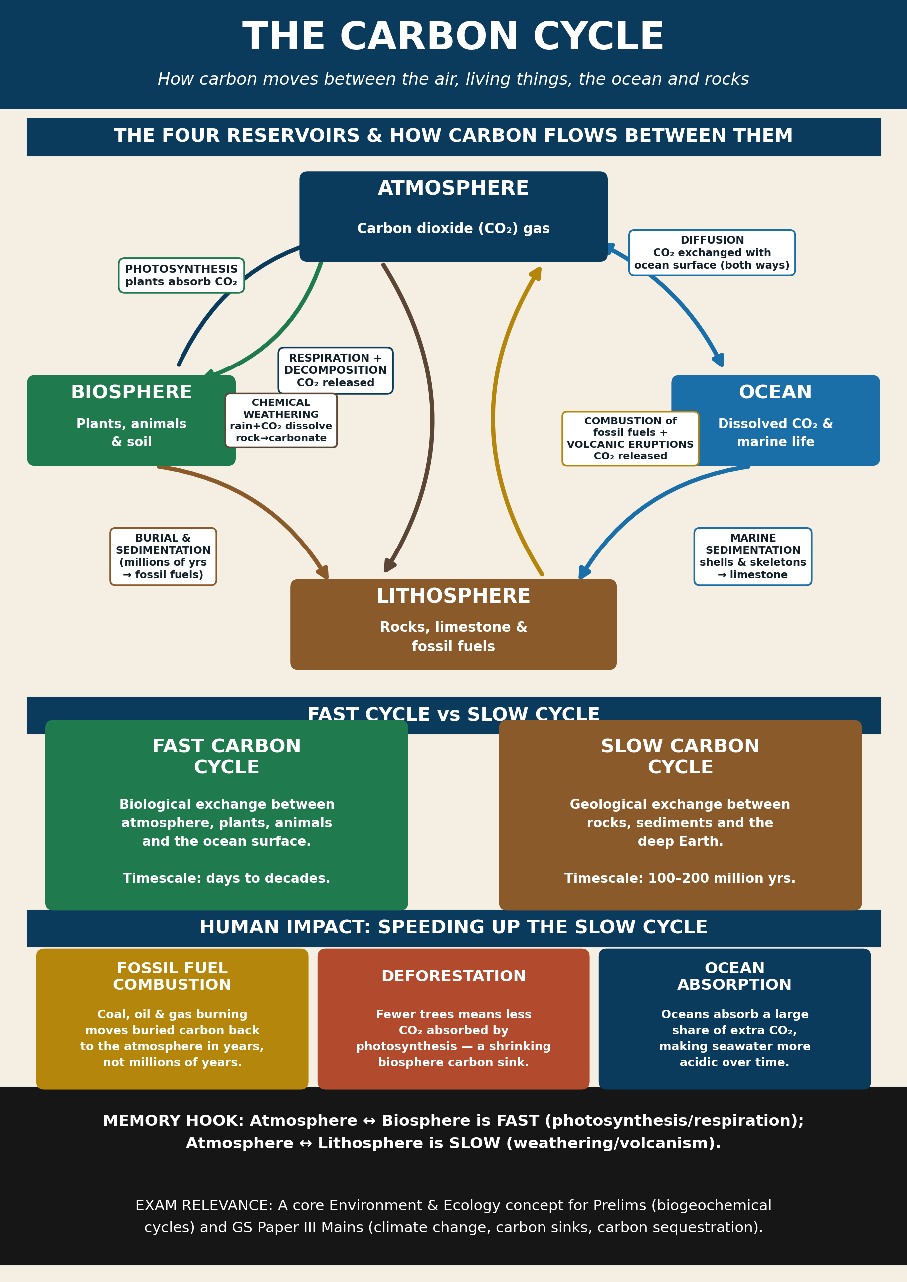 The Carbon Cycle: A Visual Explainer