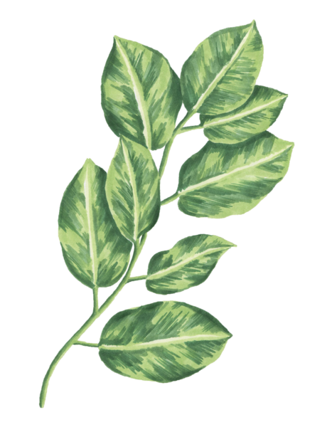 FLOWER-41-Copy.png