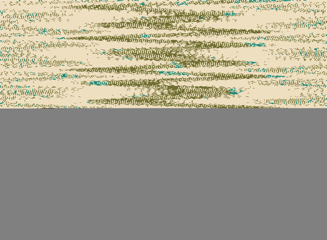 shutterstock 1080065975.jpg