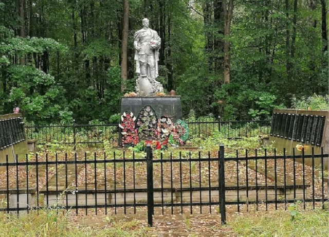 https://i.ibb.co/MyJvRmkW/image.jpg
